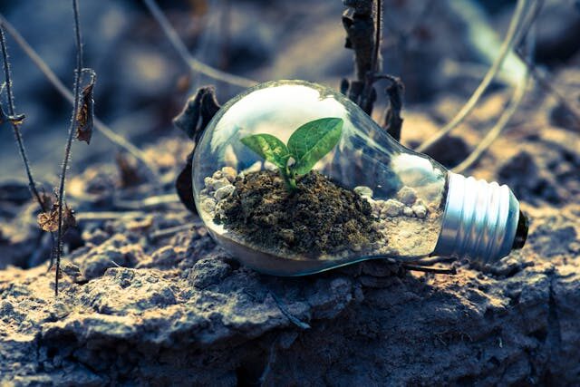 how to become successful in fundraising