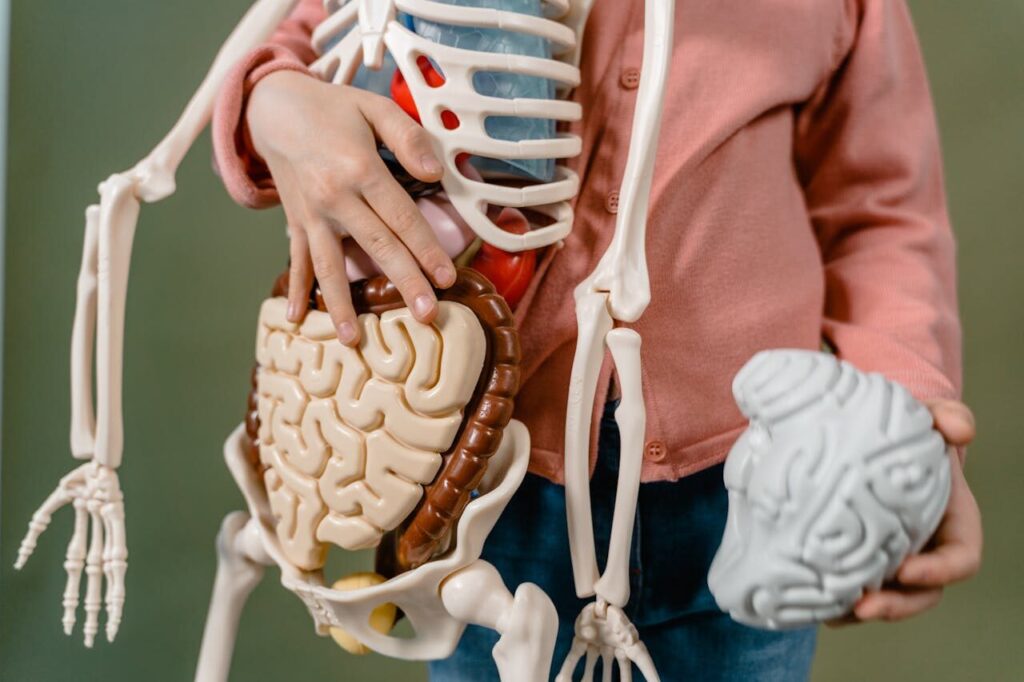 how to find an organ donor