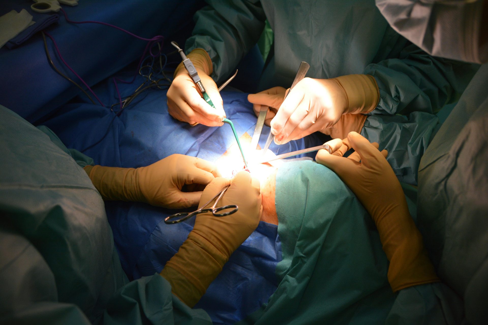 Funding Kidney Transplant for Maria